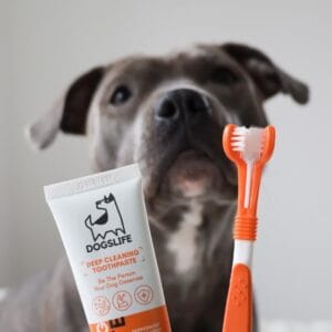 DogsLife Dental Kit