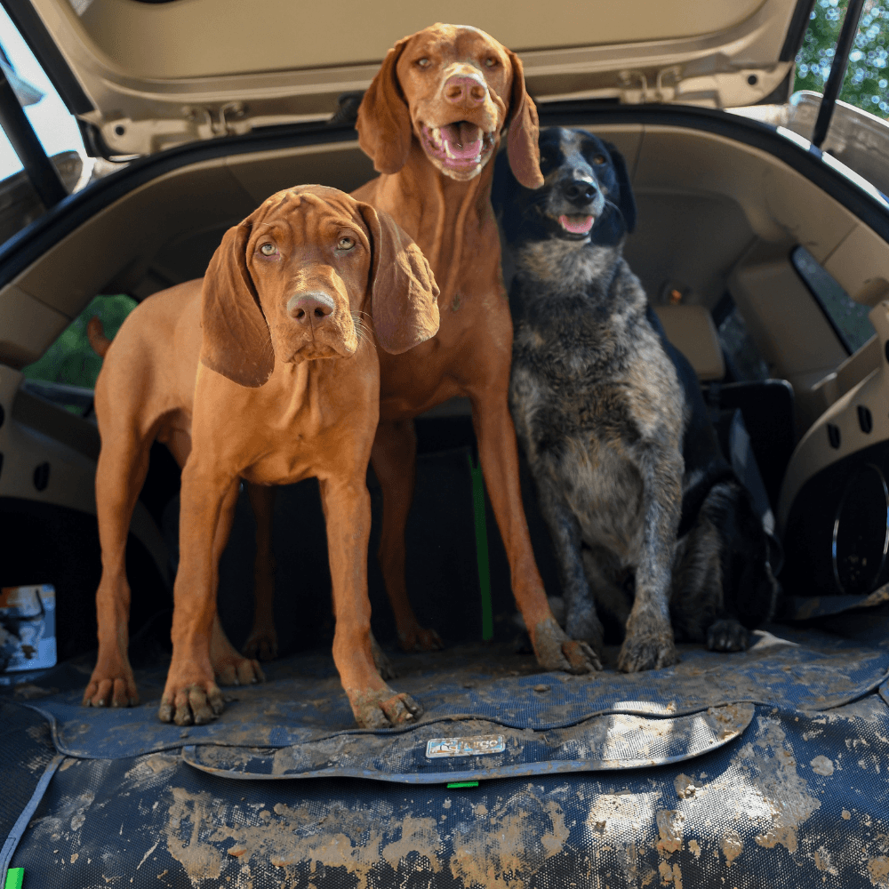 Kurgo - Cargo Cape - Afbeelding 2