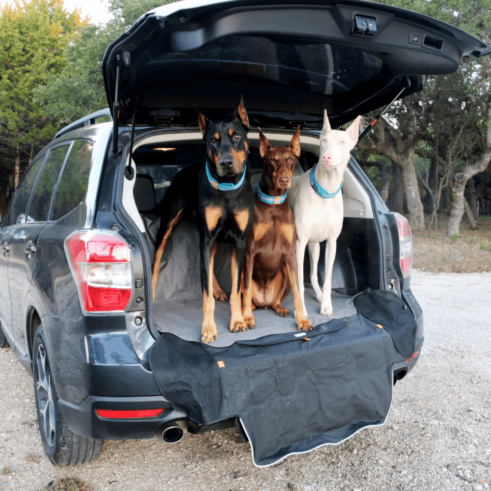 Kurgo - Cargo Cape - Afbeelding 4