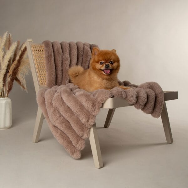 Scruffs - Aspen hondendeken, kleur taupe - Afbeelding 5