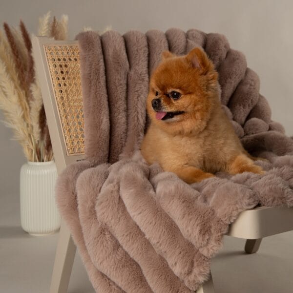 Scruffs - Aspen hondendeken, kleur taupe - Afbeelding 6
