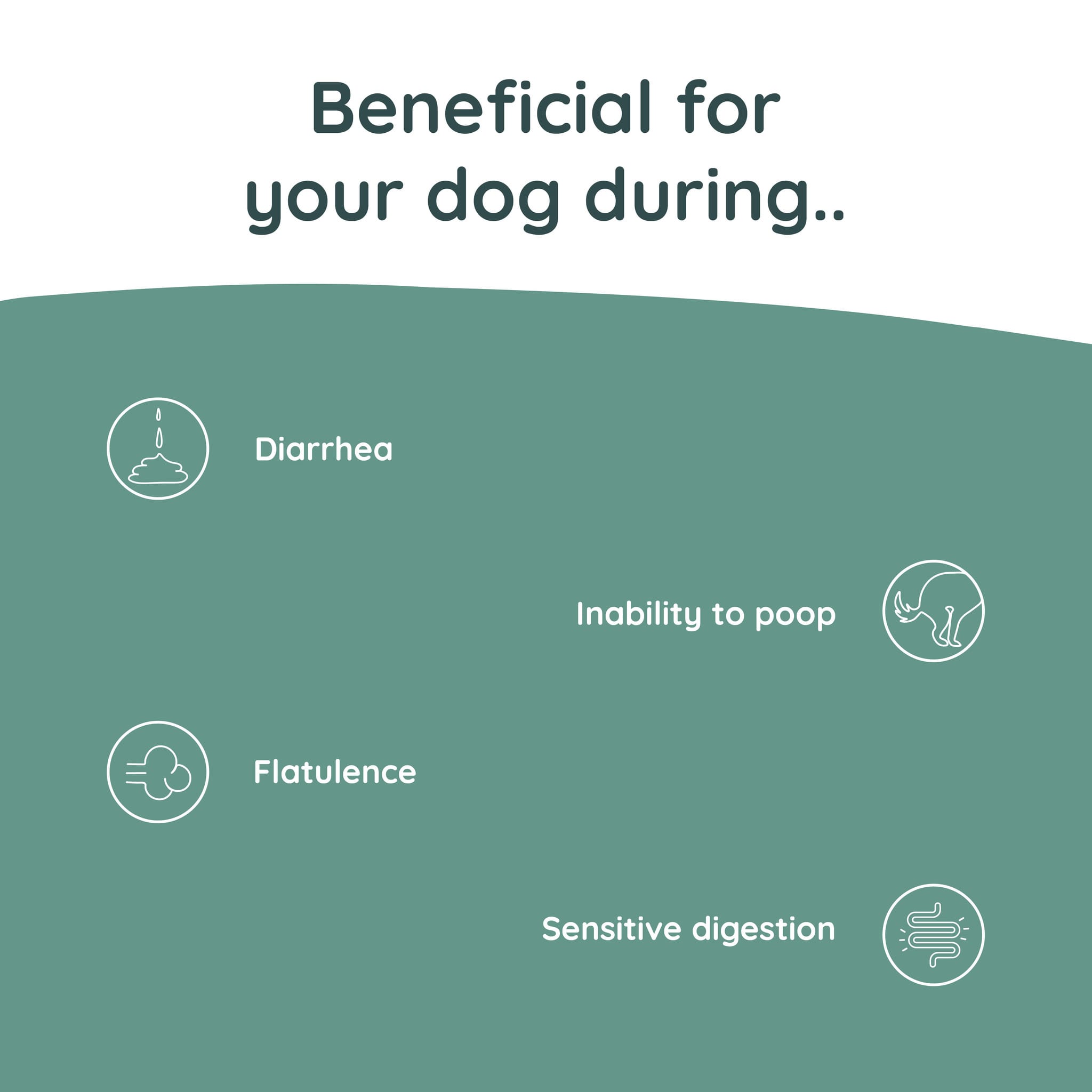 Greenfields Probiotics+ bij gevoelige darmen - Afbeelding 8