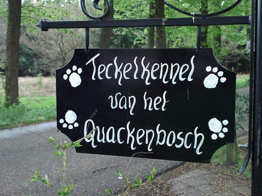 foto van onze uithangbord Teckelkennel vh Quackenbosch