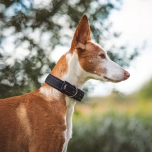 Rukka soft collar, halsband van het merk Rukka