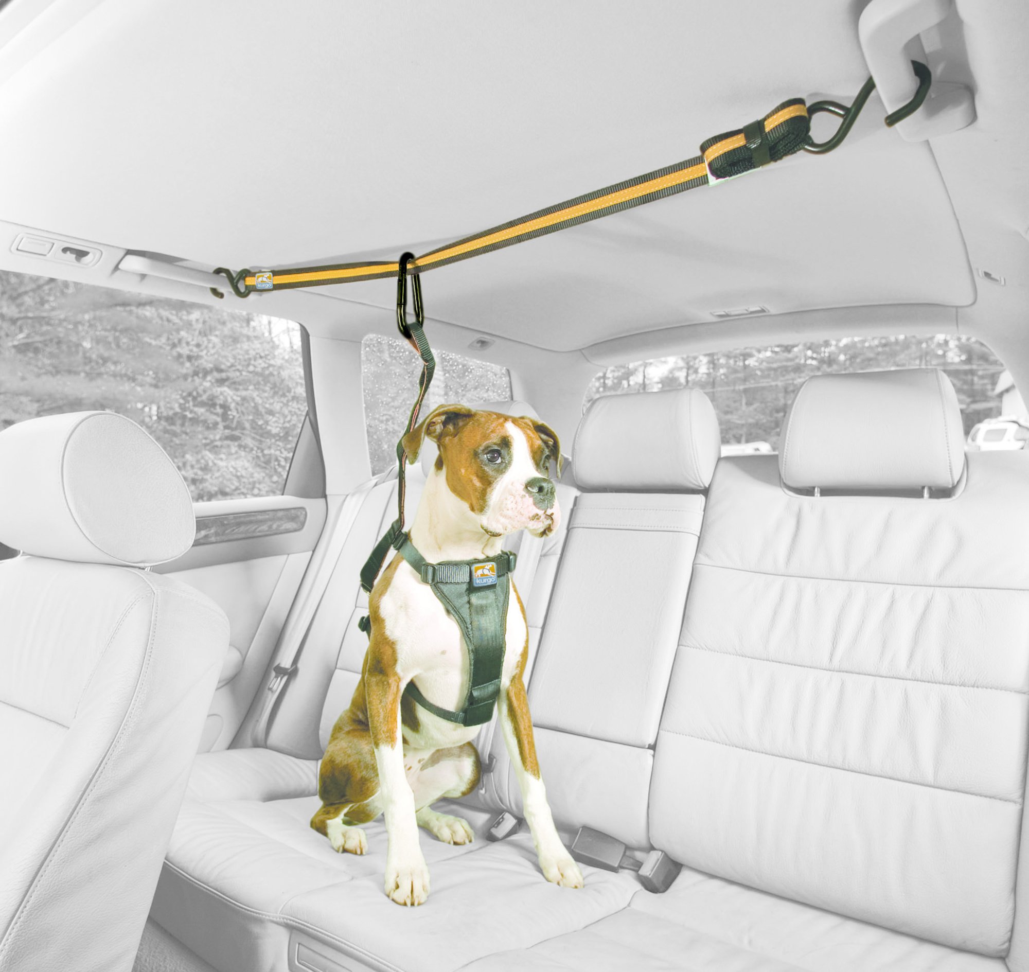 Kurgo - Auto Zip Line For Dogs