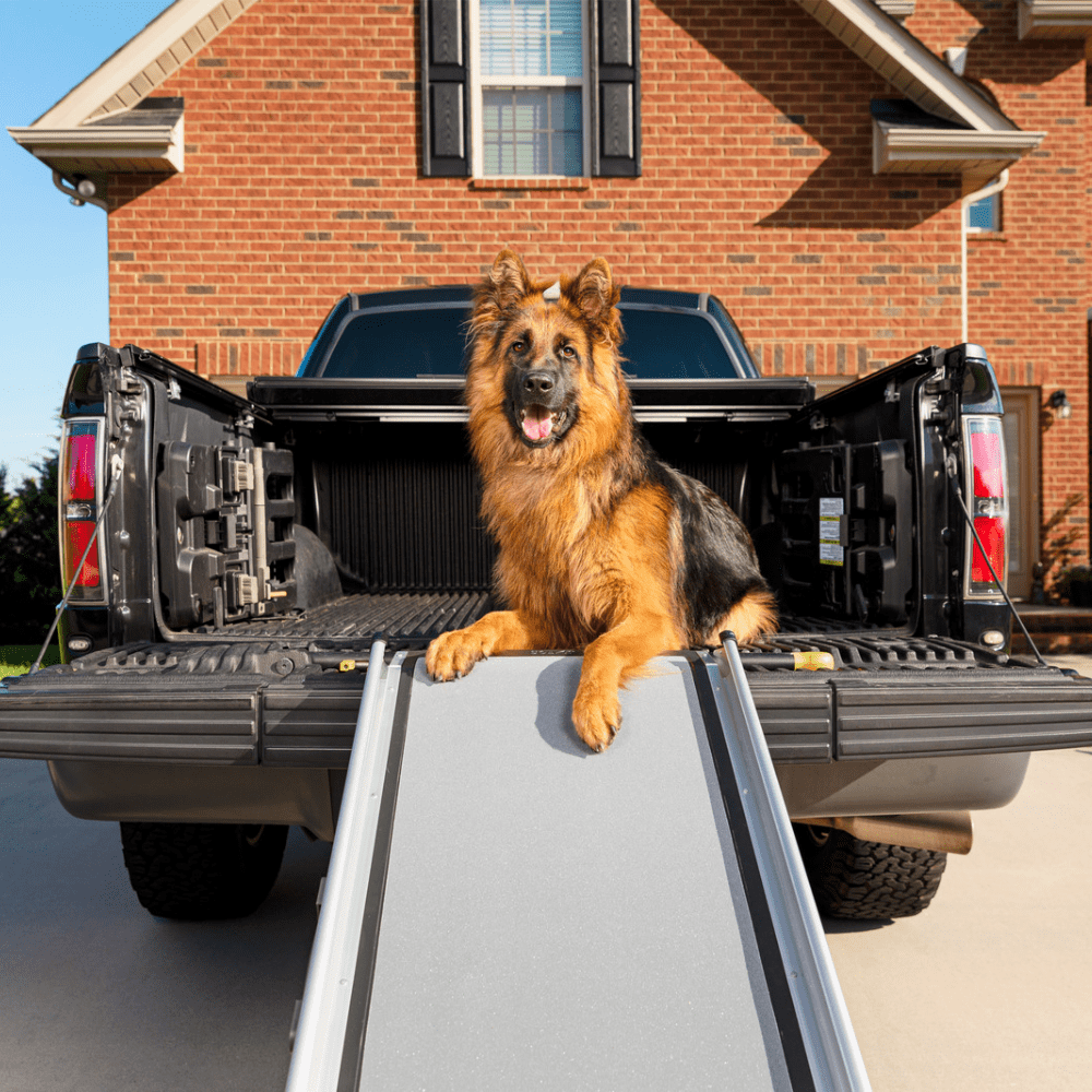 Happy Ride Deluxe Telescoping Ramp - Afbeelding 3