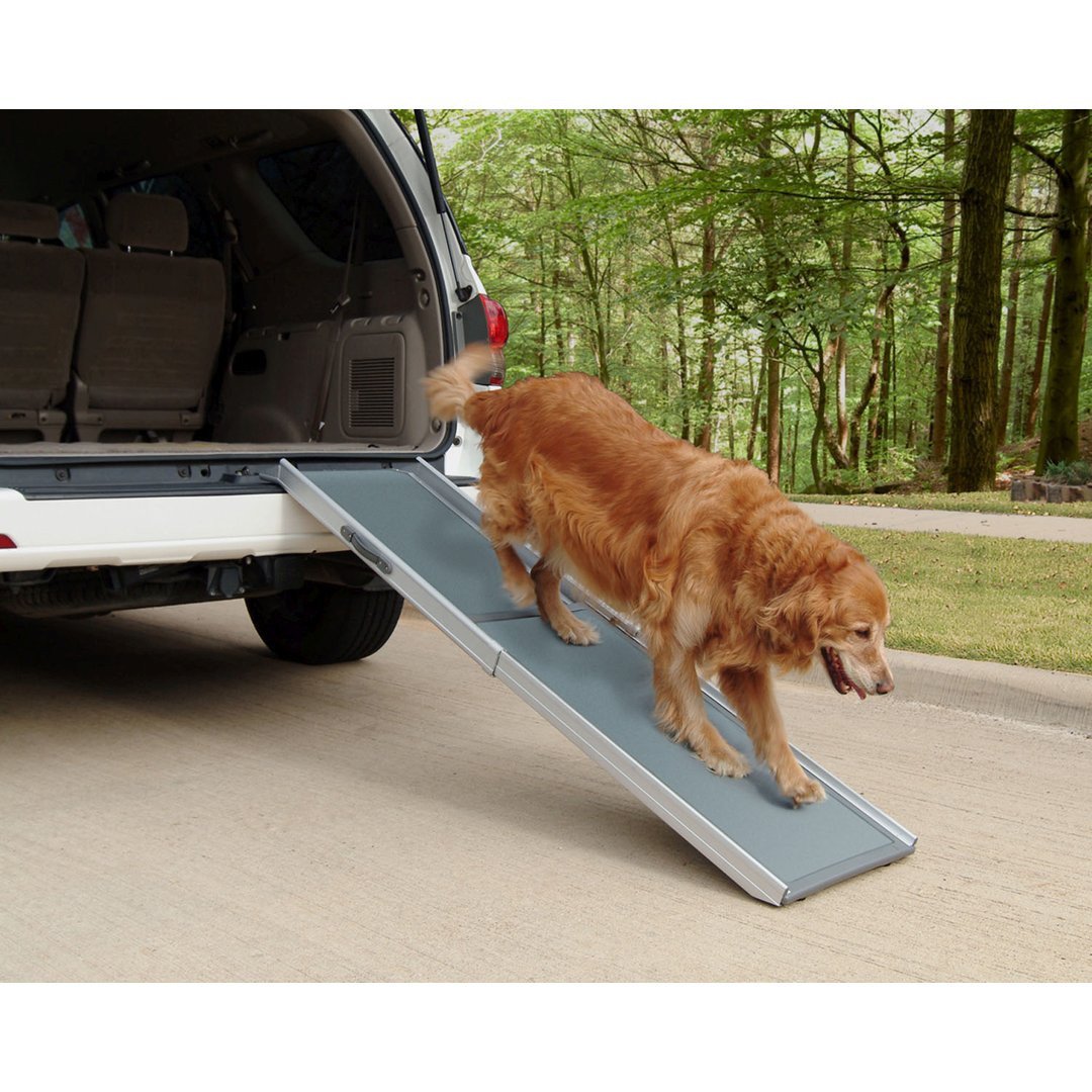 Happy Ride Deluxe Telescoping Ramp - Afbeelding 4