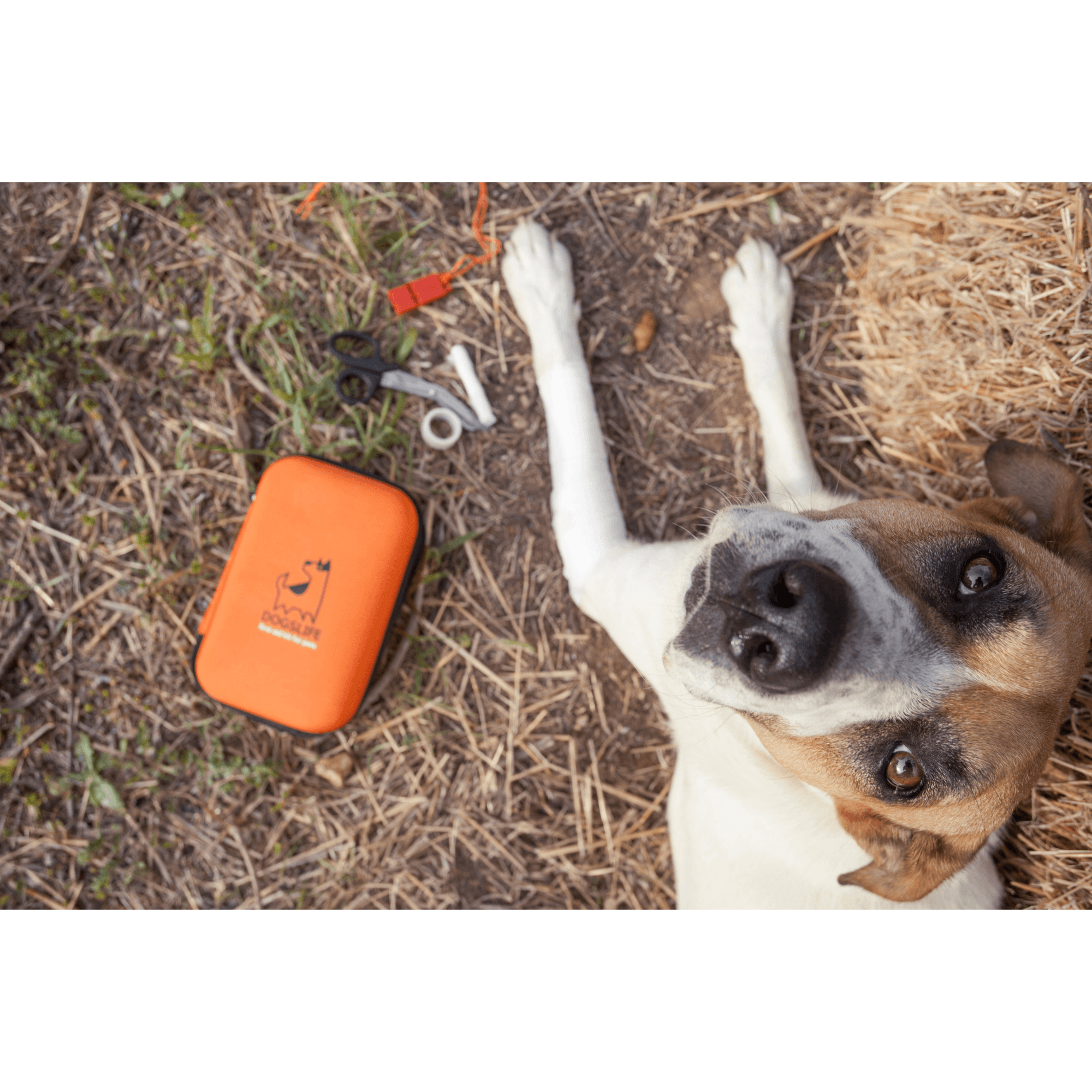 Dogslife Emercency Kit - Afbeelding 7