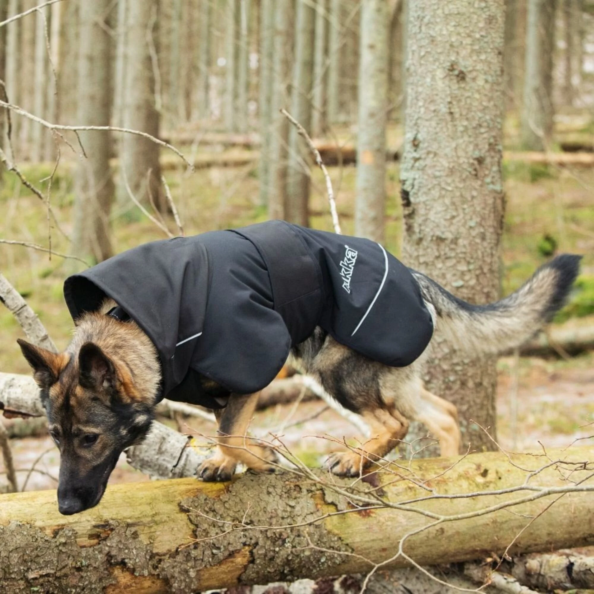 Rukka Windbestendige softshell jas, kleur zwart mt 25 - Afbeelding 3