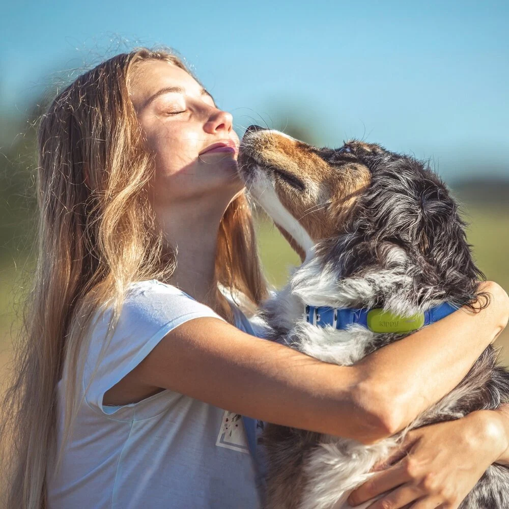 Kippy DOG - GPS & Activity Monitoring - Afbeelding 4