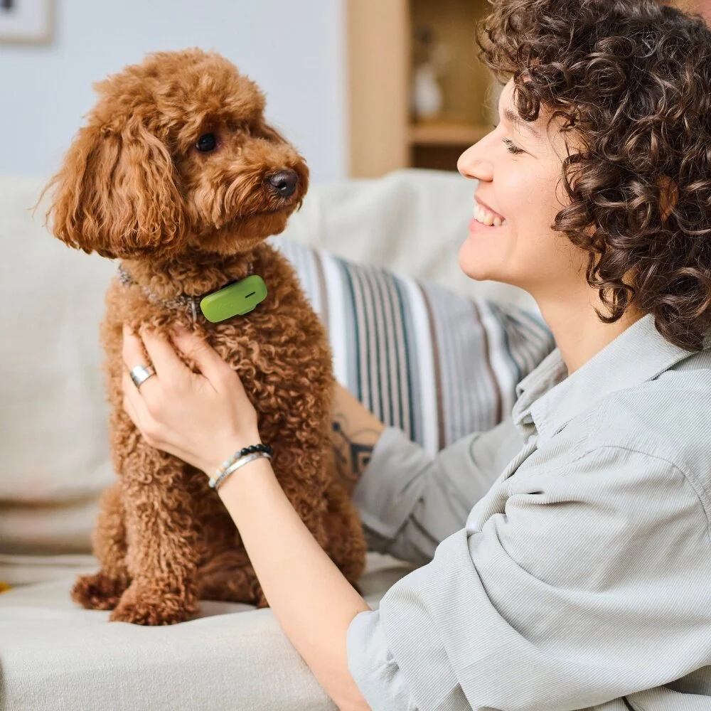 Kippy DOG - GPS & Activity Monitoring - Afbeelding 2