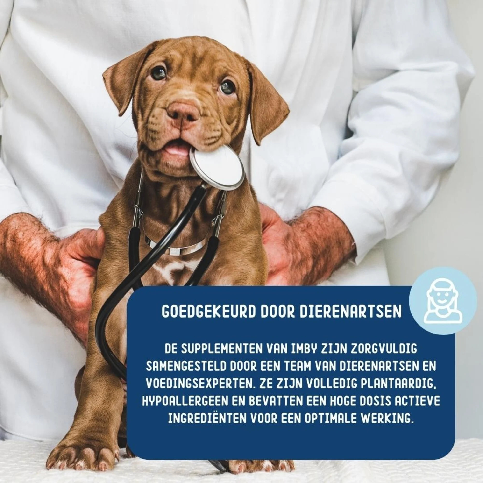 Imby - Probiotics Supplement voor honden - 270g Het Imby Probiotica supplement is perfect voor honden met een gevoelige maag. Het verbetert de spijsvertering van de hond, ondersteunt een gezonde stoelgang en verhoogt de algehele immuniteit.