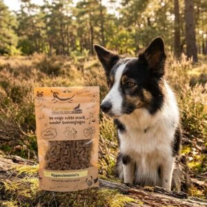 Een alerte Border Collie zit naast een verpakking Carniwell Kippenvleesmini's op een boomstronk in een zonnig bos.