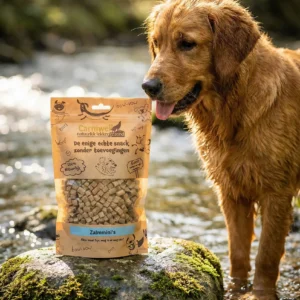 Een Golden Retriever staat met zijn poten in het water en kijkt hongerig naar een verpakking Carniwell Zalmmini's op een bemoste steen in een natuurlijke beek.