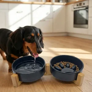 Teckel eet uit de Doufey keramische anti-schrokbak en drinkbak set met bamboe standaard, verkrijgbaar bij Hondenvoer en meer