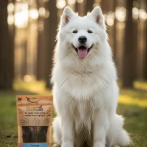 Carniwell Visstrips natuurlijke hondensnack met een witte Samojeed in een herfstachtig bos – Gezonde Omega-3 snack verkrijgbaar bij Hondenvoer en meer in Apeldoorn.