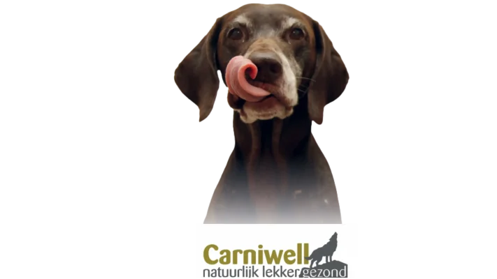Hond die een likkende beweging maakt. Carniwell natuurlijk lekker gezond