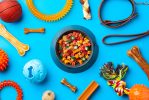 Treats and toys for dogs on blue background close up Treats and toys for dogs on blue background close up studio shot